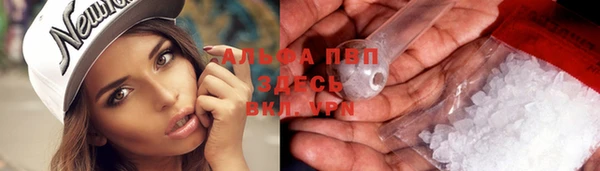 стафф Заволжск