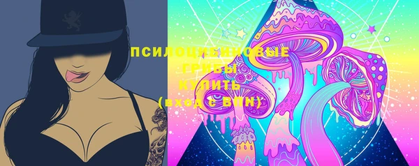 стафф Заволжск