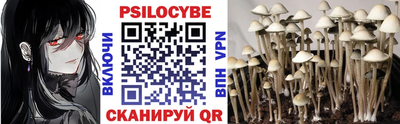 Псилоцибиновые грибы Psilocybine cubensis  Купить  Зеленокумск 